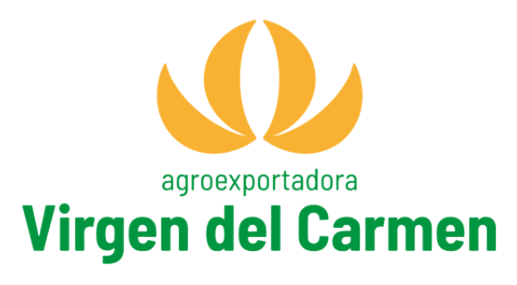 Virgen del Carmen